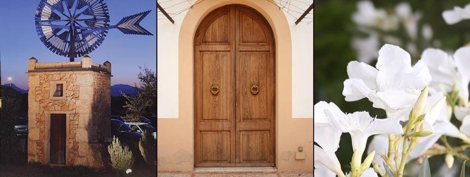 Agroturismo Finca Son Amora Palma de Maiorca Exterior foto
